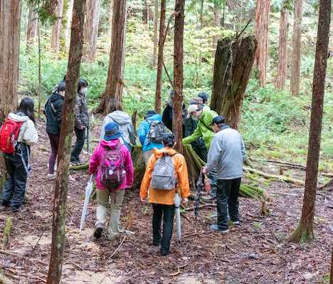 医師と歩く森林セラピーの森、今年最後のイベント開催です。