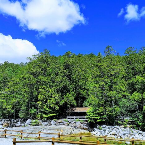赤沢自然休養林の森林浴、サイト構築中です。